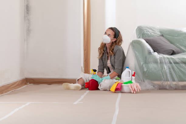 Reliable Mold Remediation contractor in Fulton, NY by 24 Hour Mold Removal
